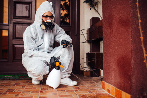 Attic and Crawl Space Rodent Treatment in Warren