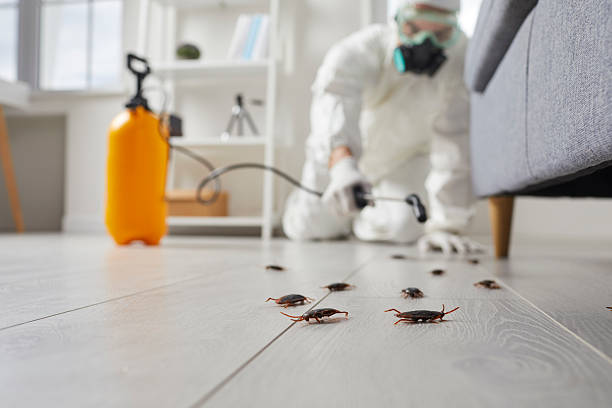 Commercial Rodent Management in Warren